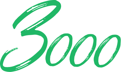 3000